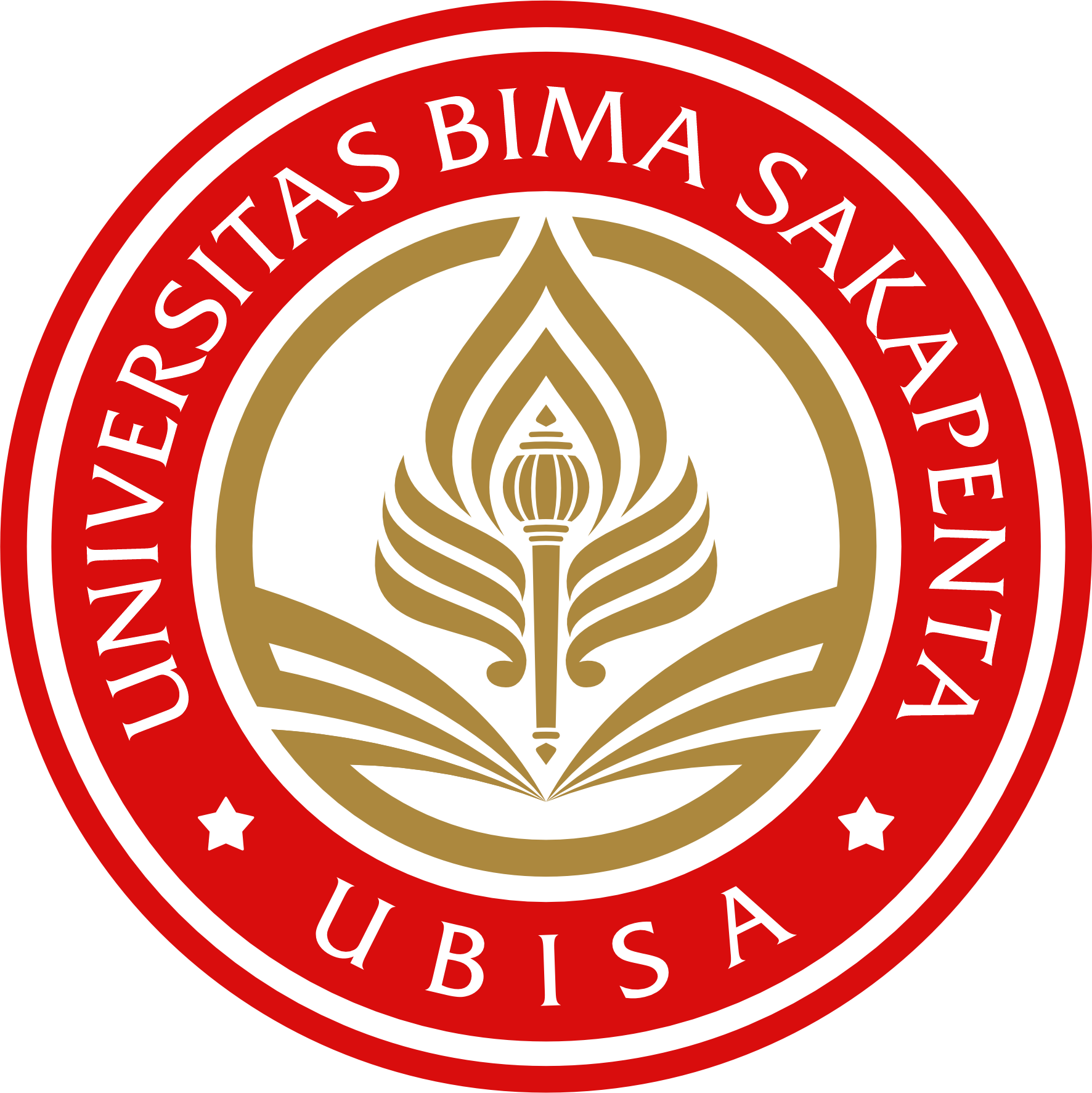 Logo UBISA